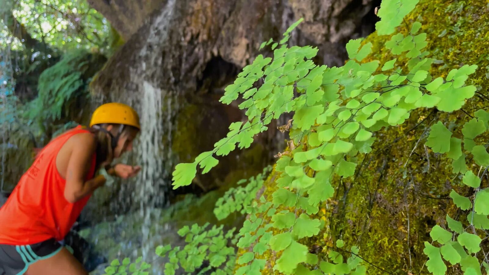 Acquatrekking tra acqua, rocce e vegetazione
