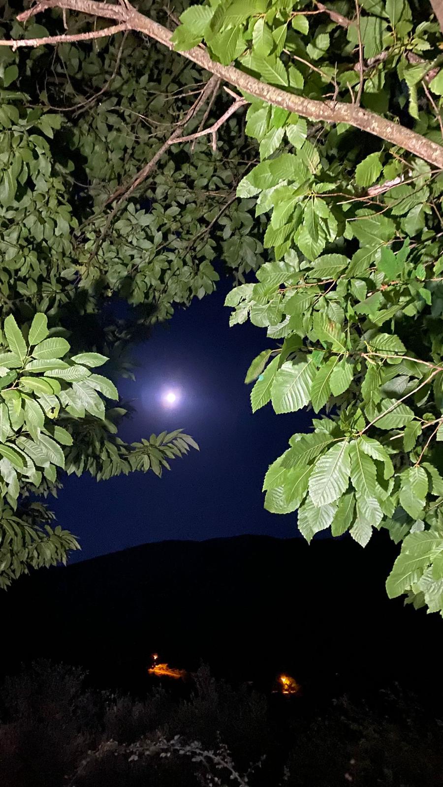 Notte nel verde sotto la luna del Pollino