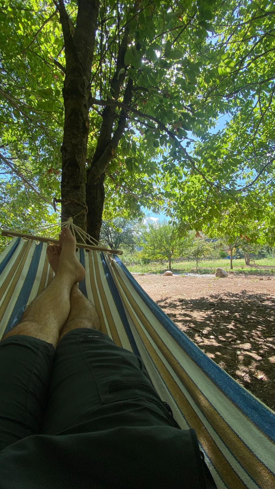 Area verde ombreggiata per il relax e il camping